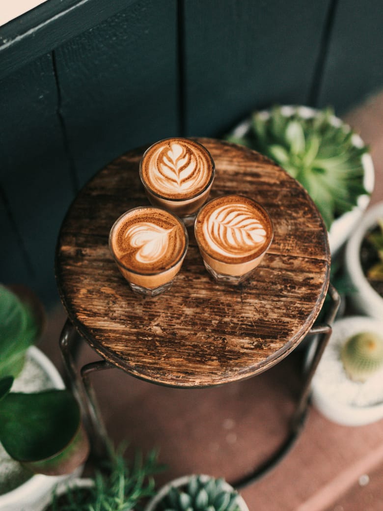 Drei Cortados mit Latte-Art von oben auf einem runden Holzhocker, umgeben von Sukkulenten.