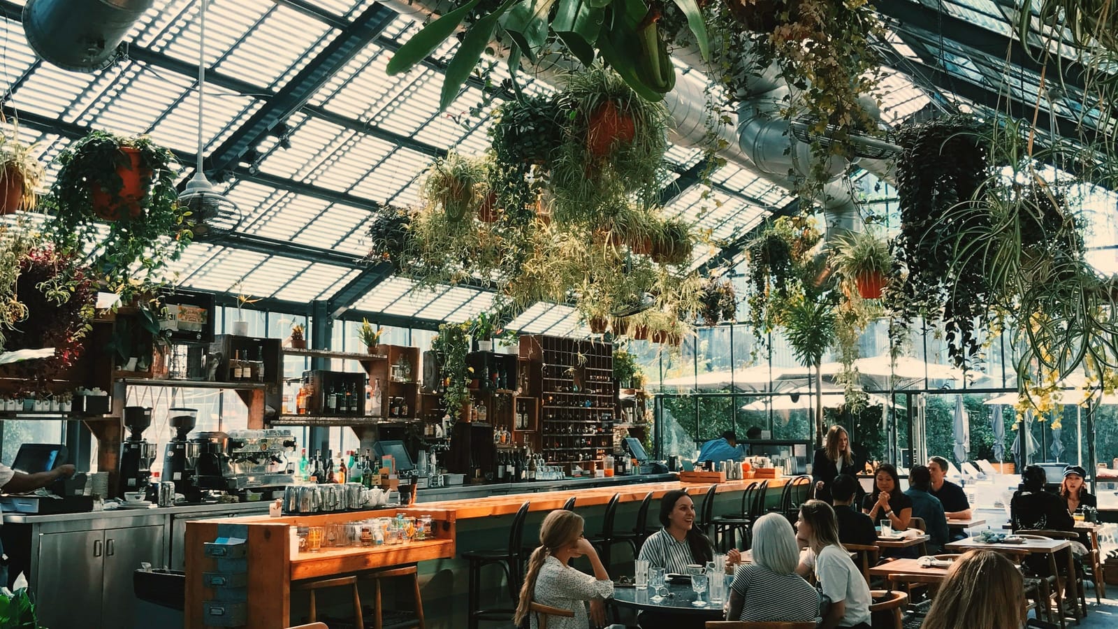 Gäste unter dem gläsernen Dach eines Gewächshaus-Cafés, Sonnenlicht fällt durch hängende Pflanzen auf lange Holztische.